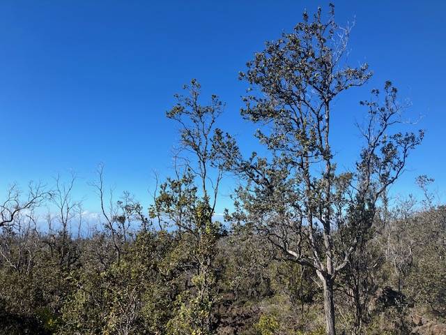 Ocean View, HI 96737,KOA LN