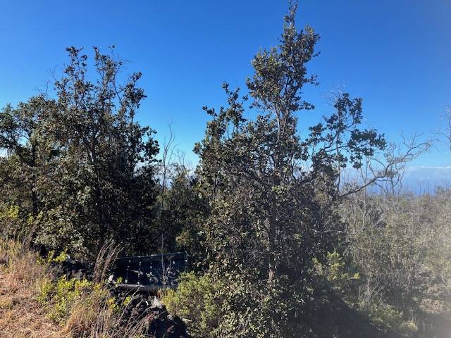 Ocean View, HI 96737,KOA LN