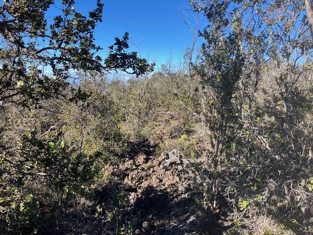 Ocean View, HI 96737,KOA LN