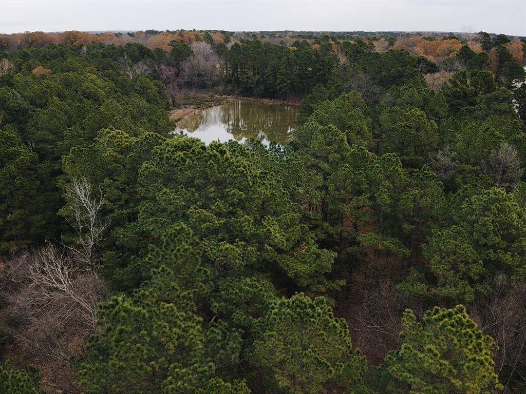 Powderly, TX 75473,42 CR 35720