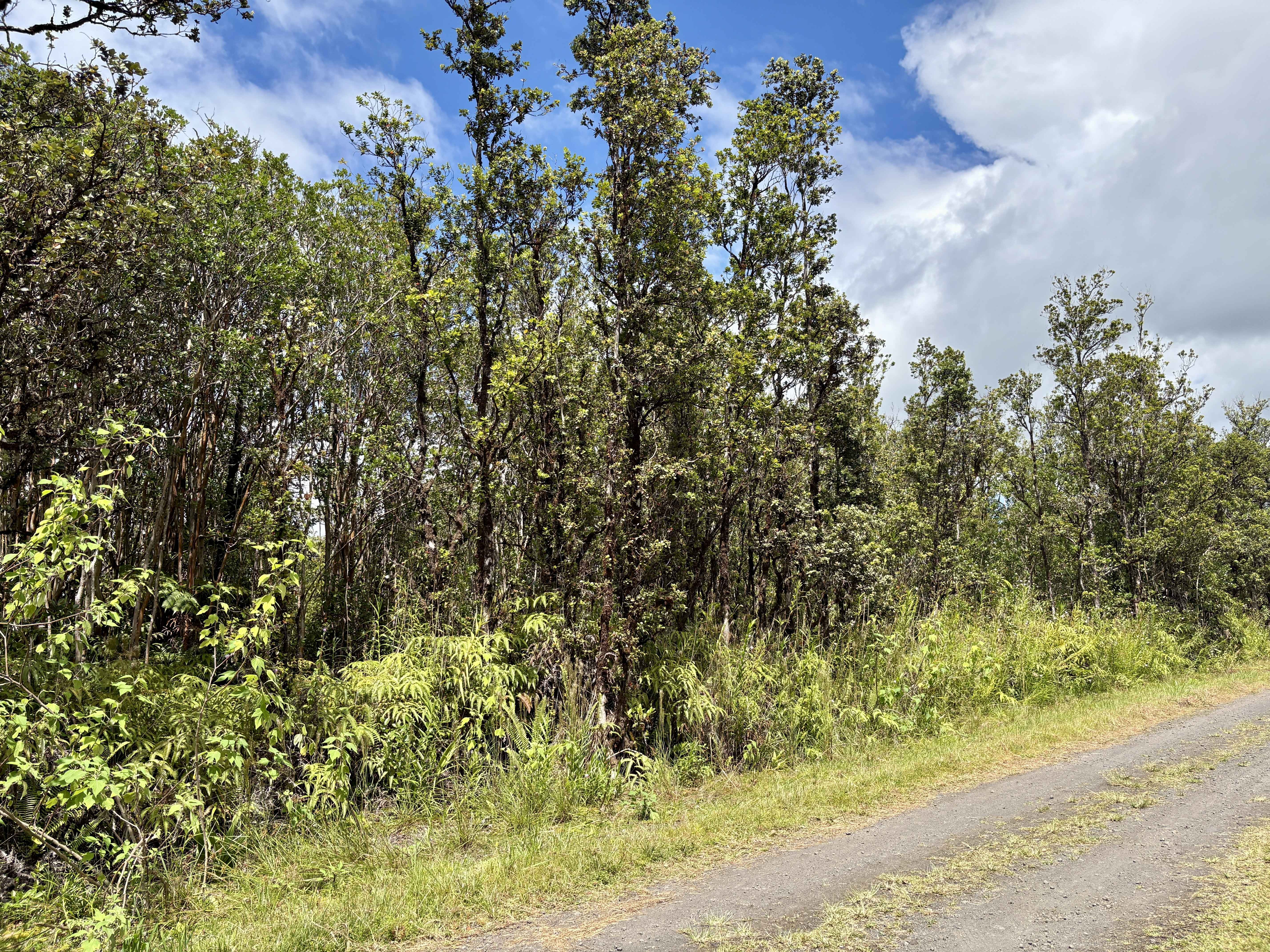 Mountain View, HI 96771,ALAPUA ST