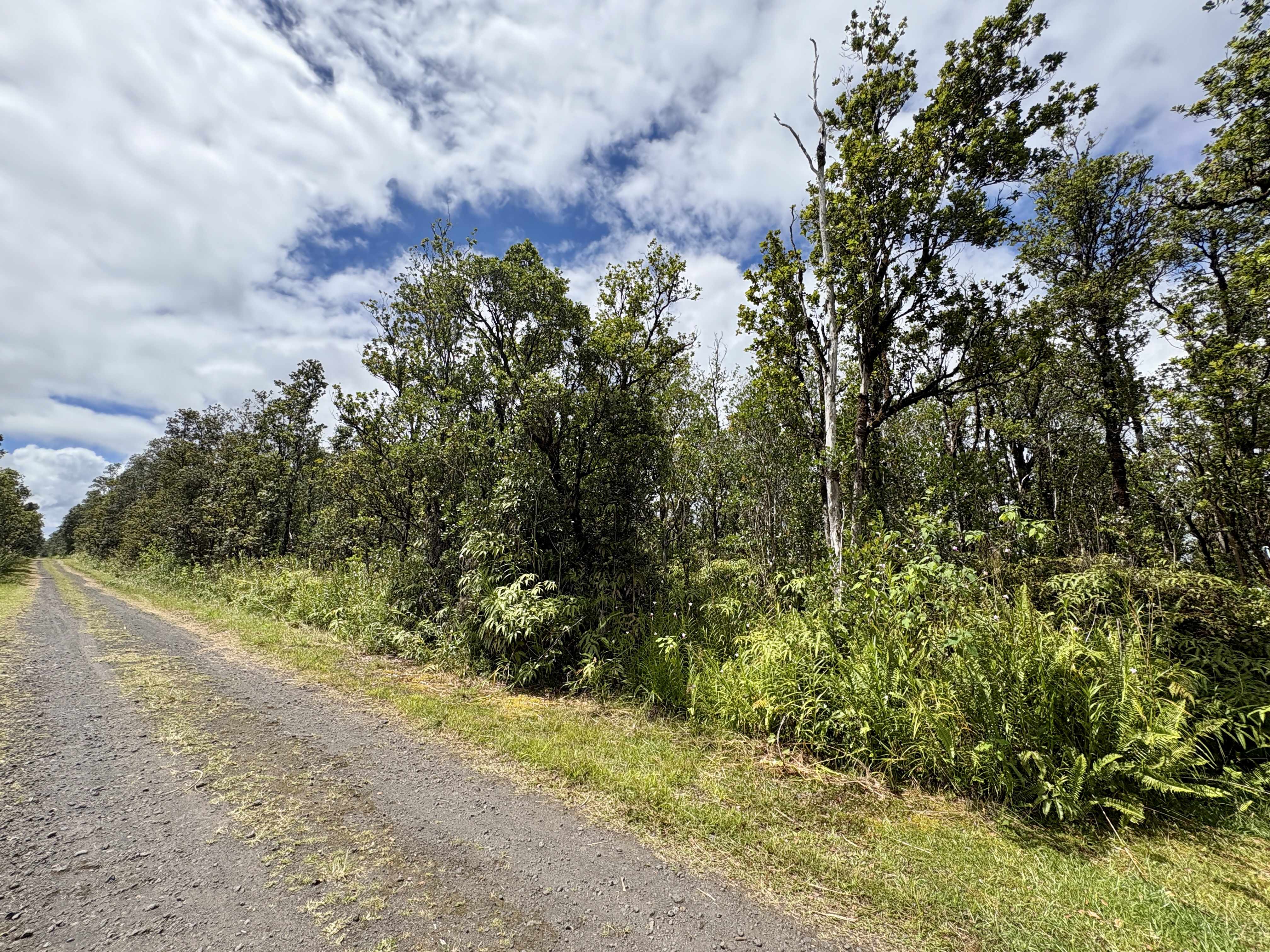 Mountain View, HI 96771,ALAPUA ST