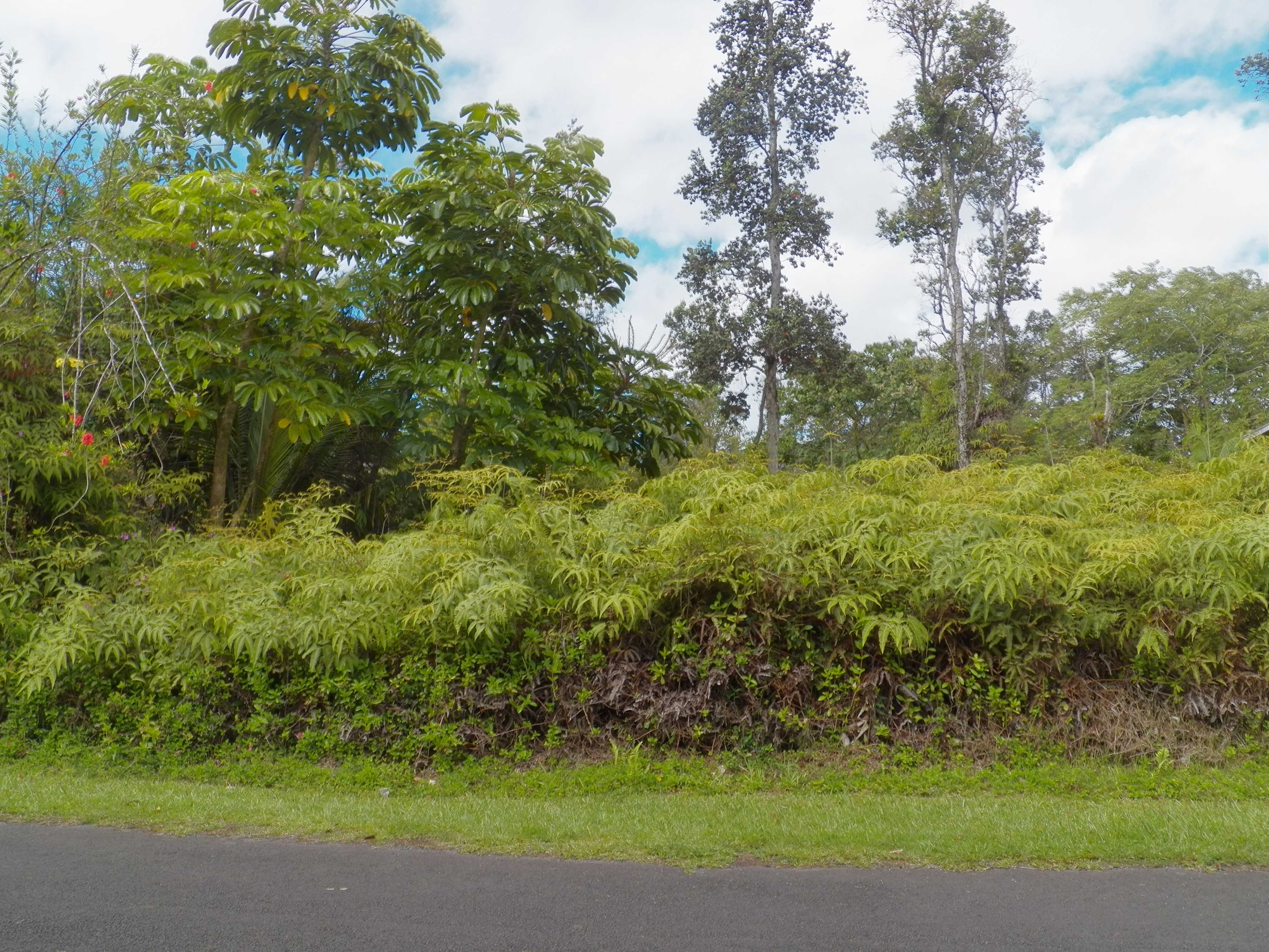 Pahoa, HI 96778,12-559 DIAMOND HEAD DR