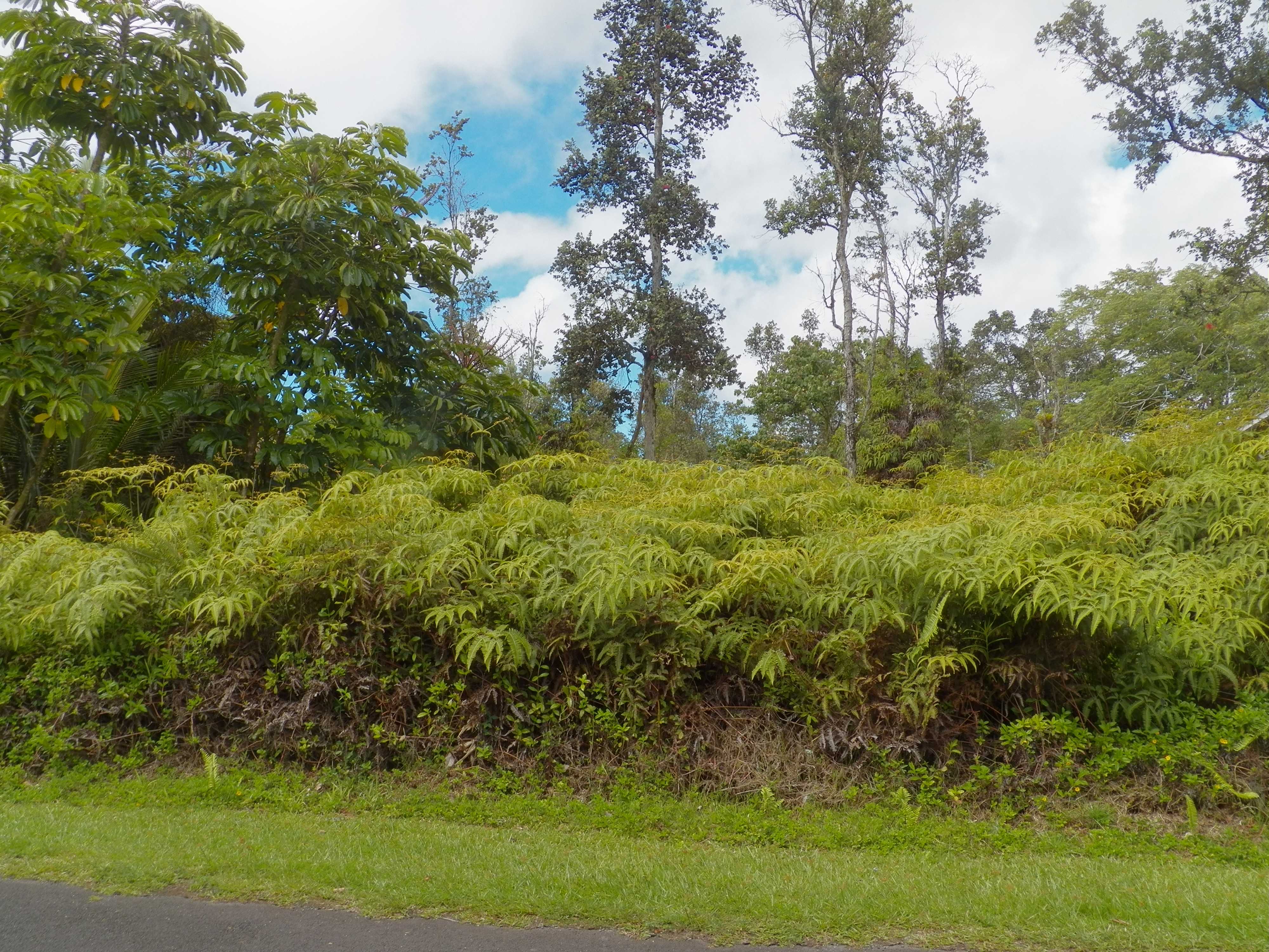 Pahoa, HI 96778,12-559 DIAMOND HEAD DR