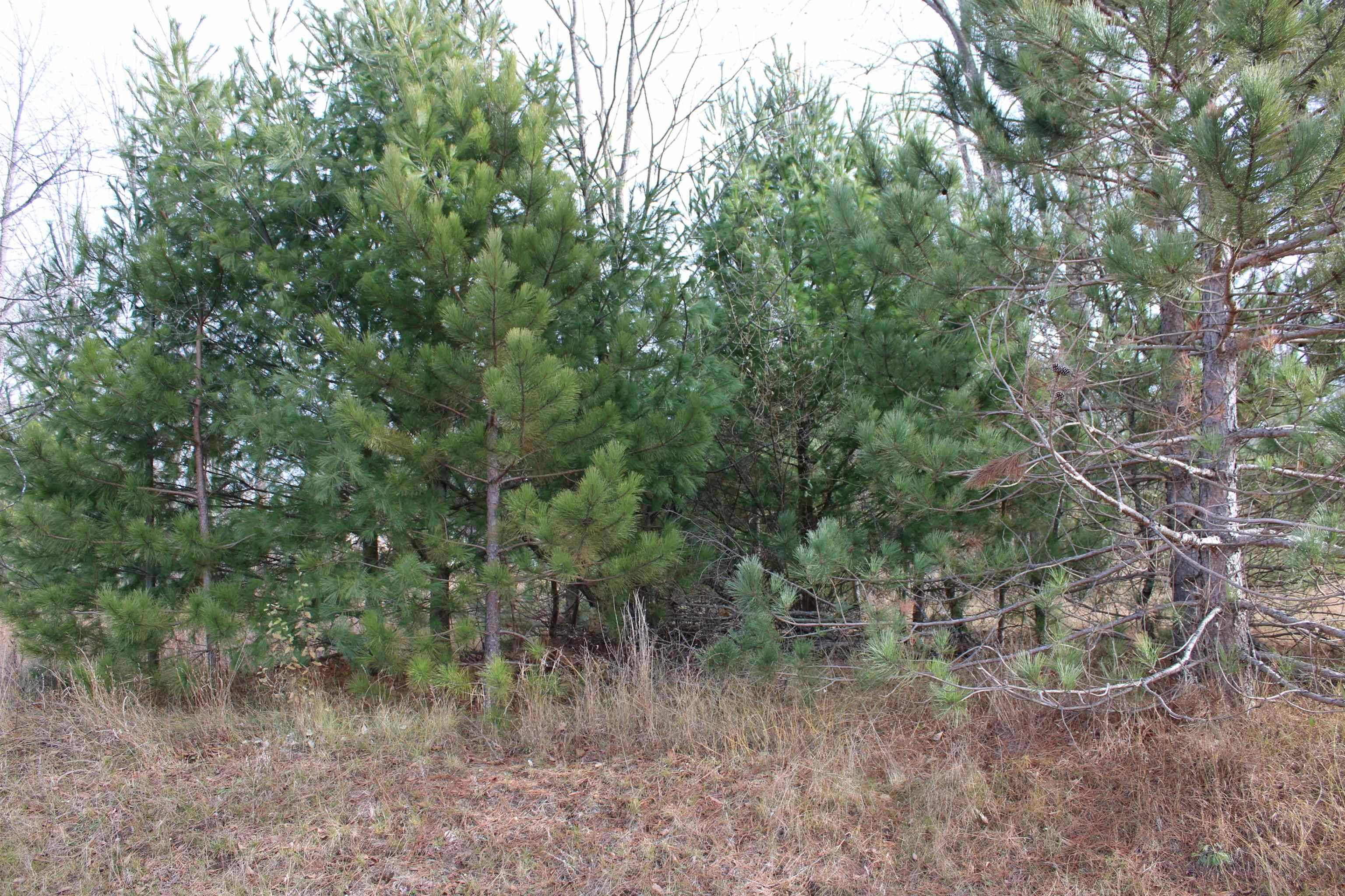 Buckley, MI 49620,Indian TRL