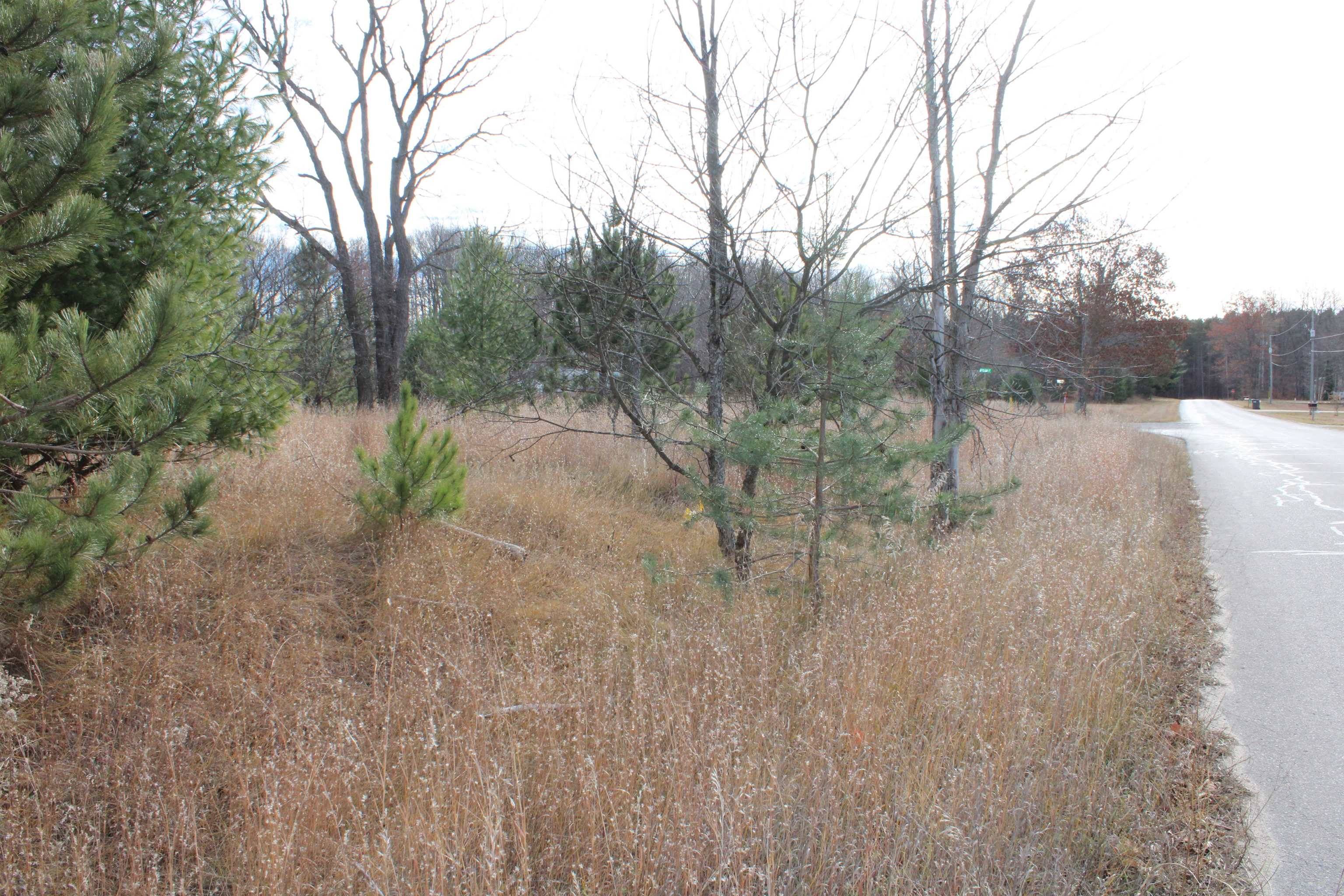 Buckley, MI 49620,Indian TRL