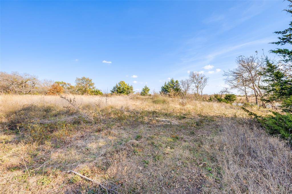 Blue Ridge, TX 75424,15602 State Highway 160