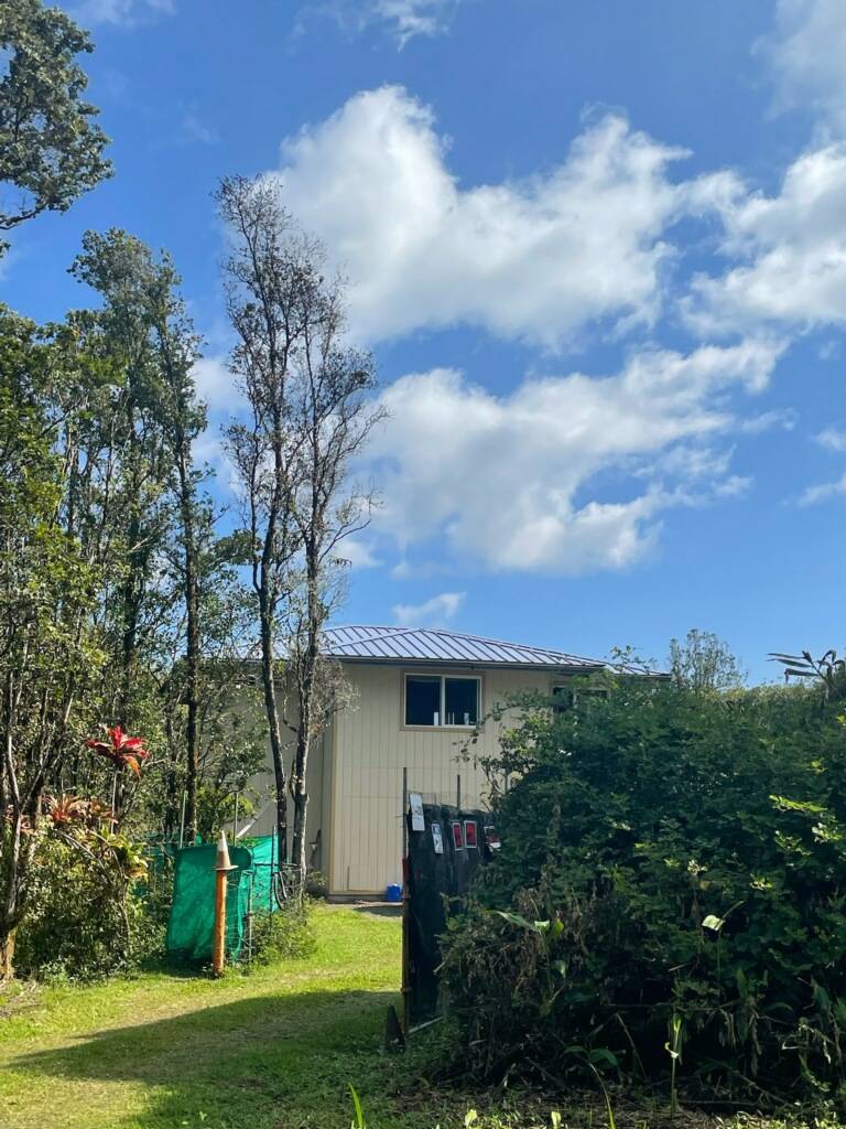 Mountain View, HI 96771,11-3282 OHIA AVE