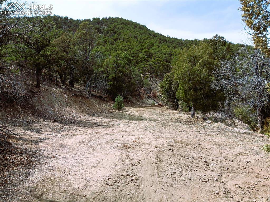 Cotopaxi, CO 81223,TR3 Mineshaft PL