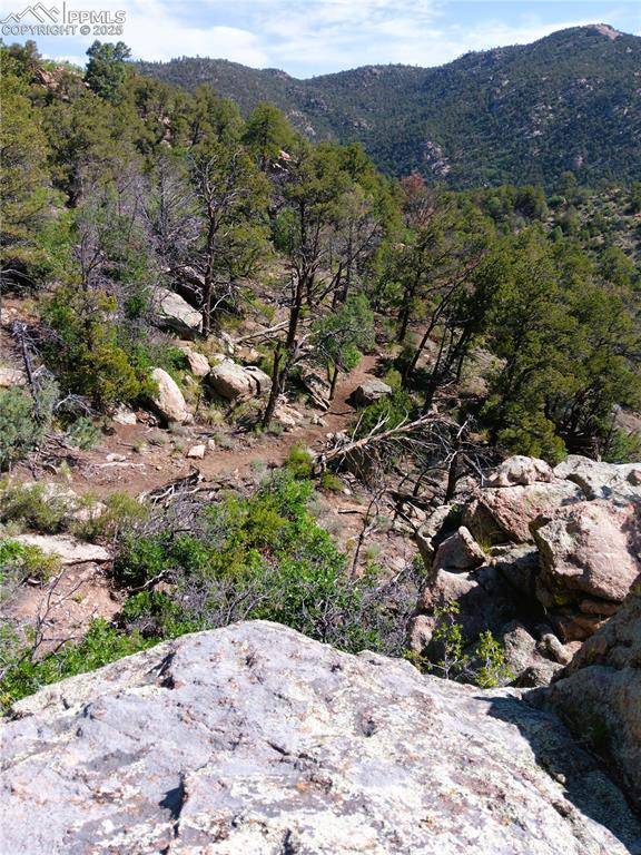 Cotopaxi, CO 81223,TR3 Mineshaft PL