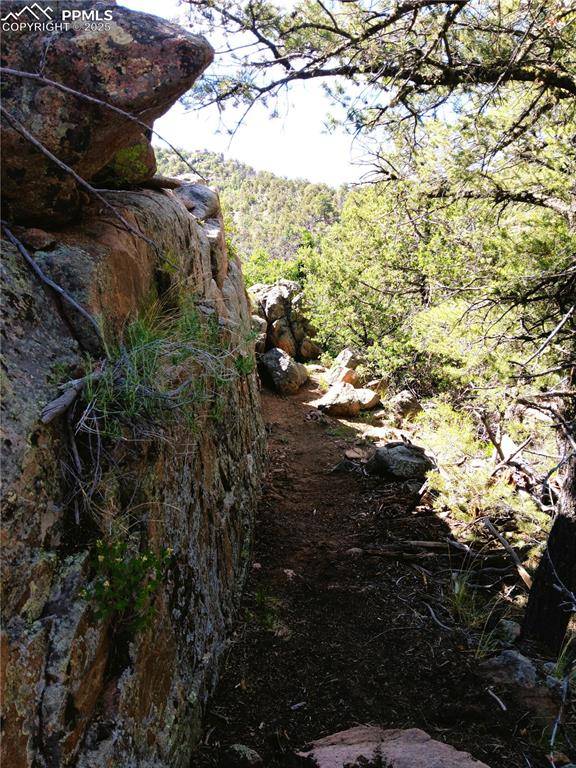 Cotopaxi, CO 81223,TR3 Mineshaft PL