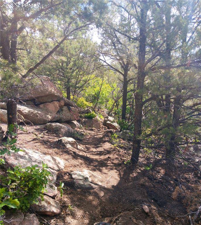 Cotopaxi, CO 81223,TR3 Mineshaft PL