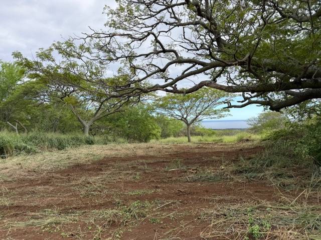 Naalehu, HI 96772,PUNALUU RD