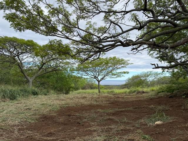 Naalehu, HI 96772,PUNALUU RD