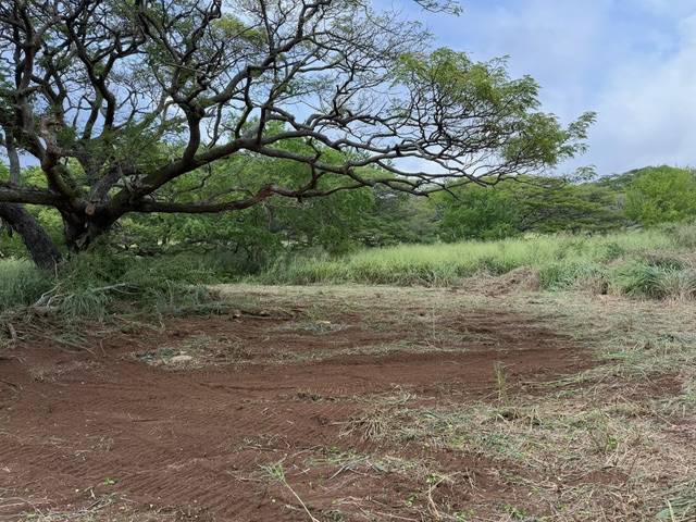 Naalehu, HI 96772,PUNALUU RD