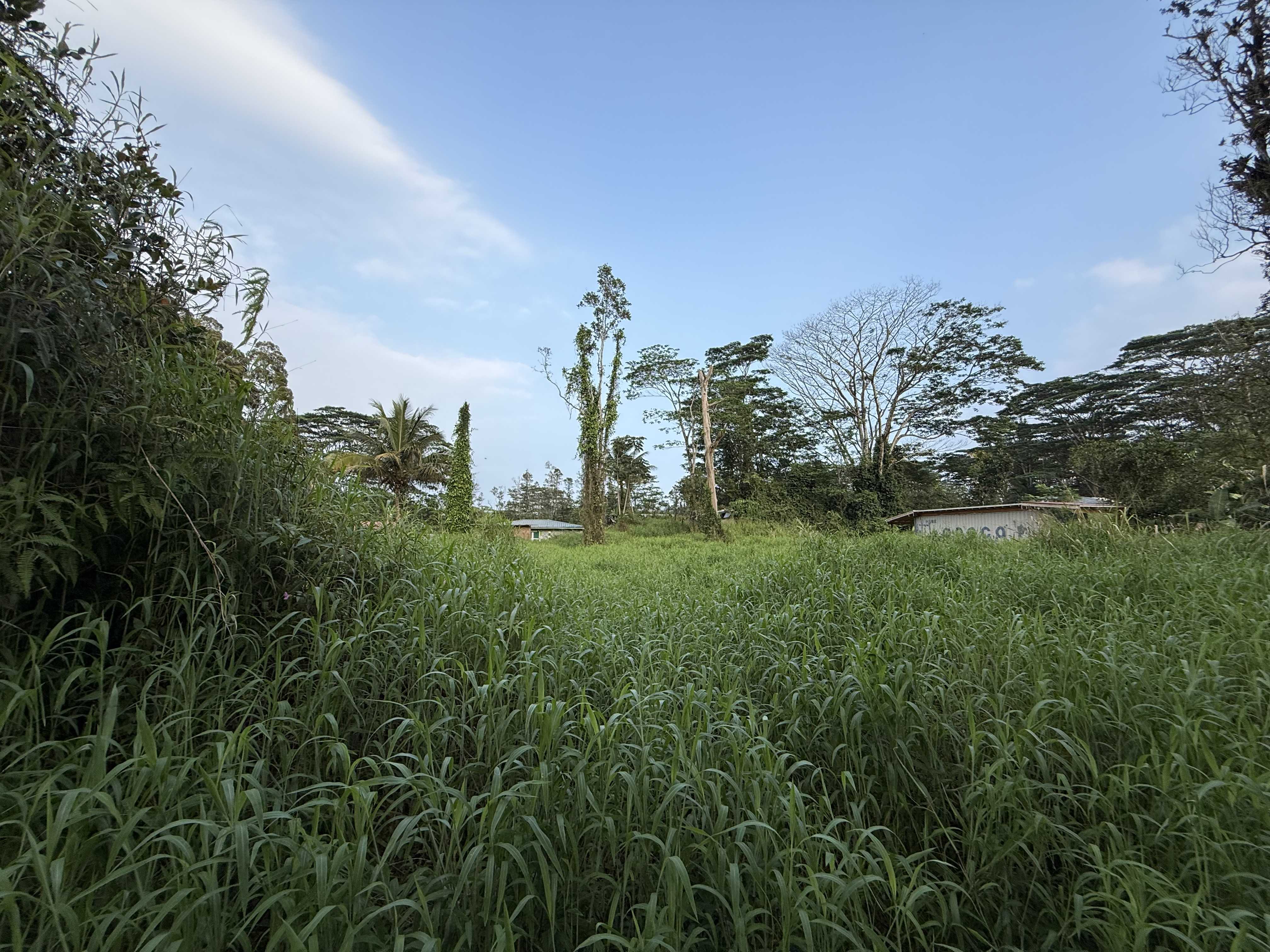 Kurtistown, HI 96760,SILVERSWORD CT