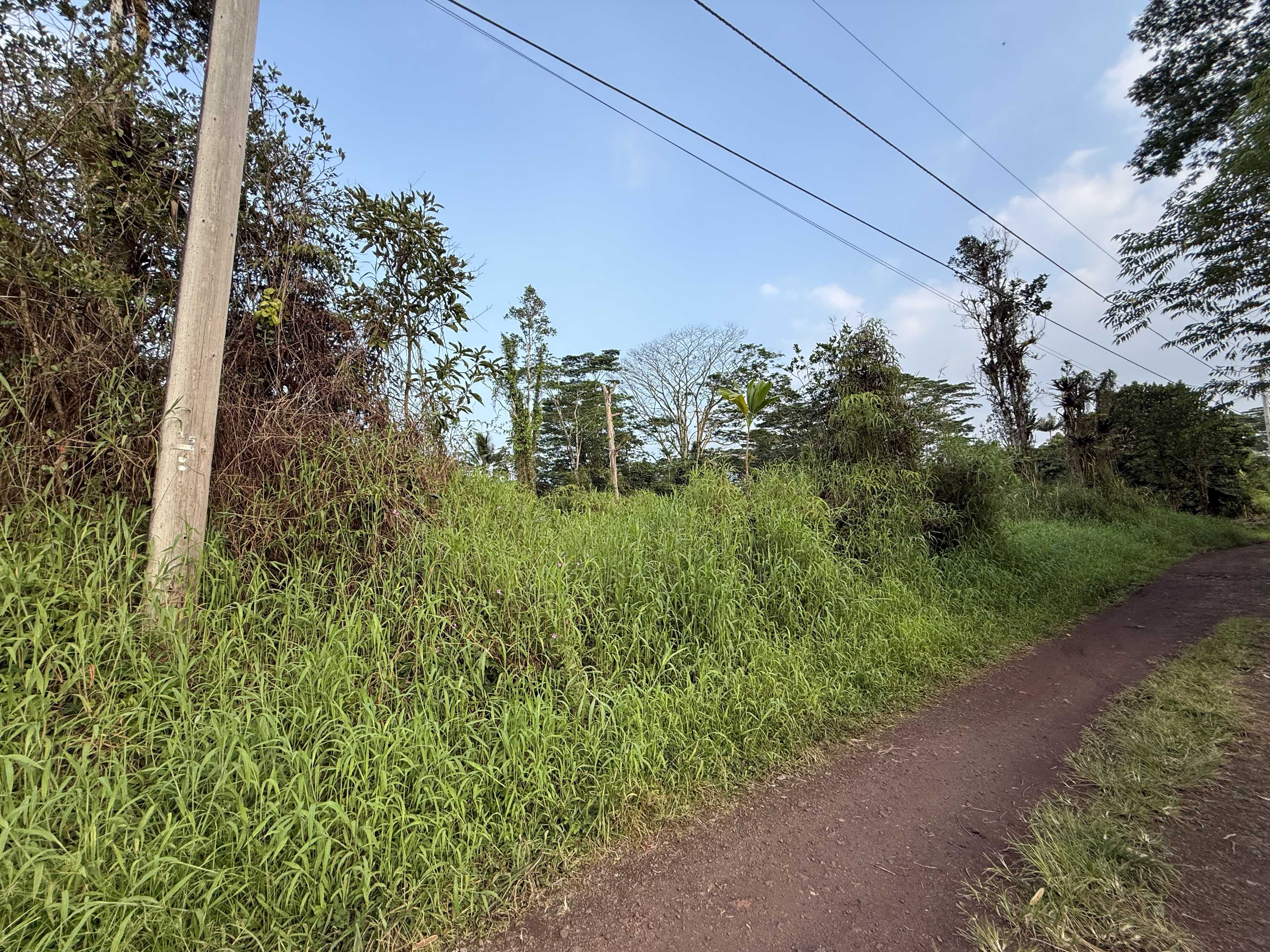 Kurtistown, HI 96760,SILVERSWORD CT