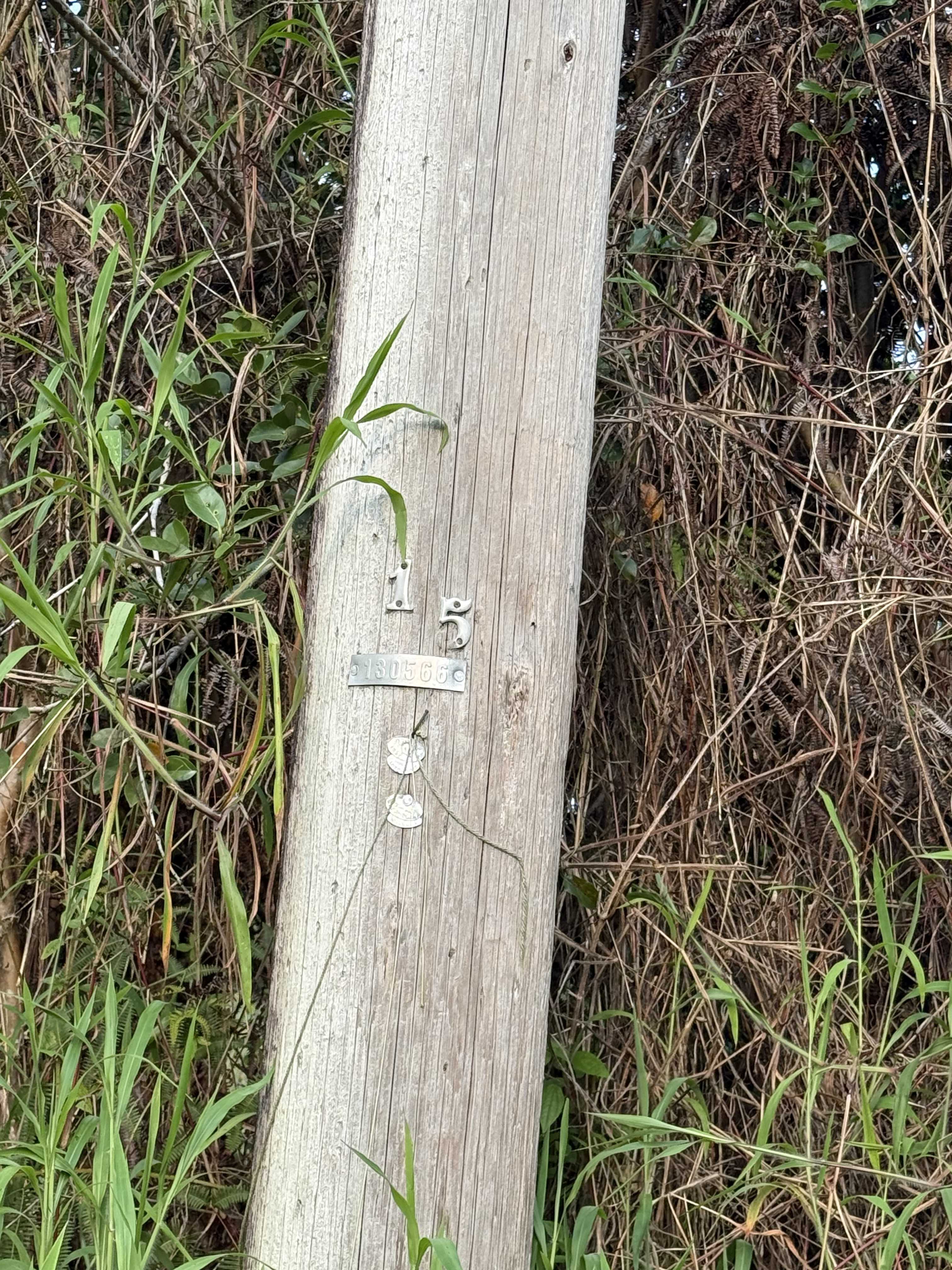 Kurtistown, HI 96760,SILVERSWORD CT