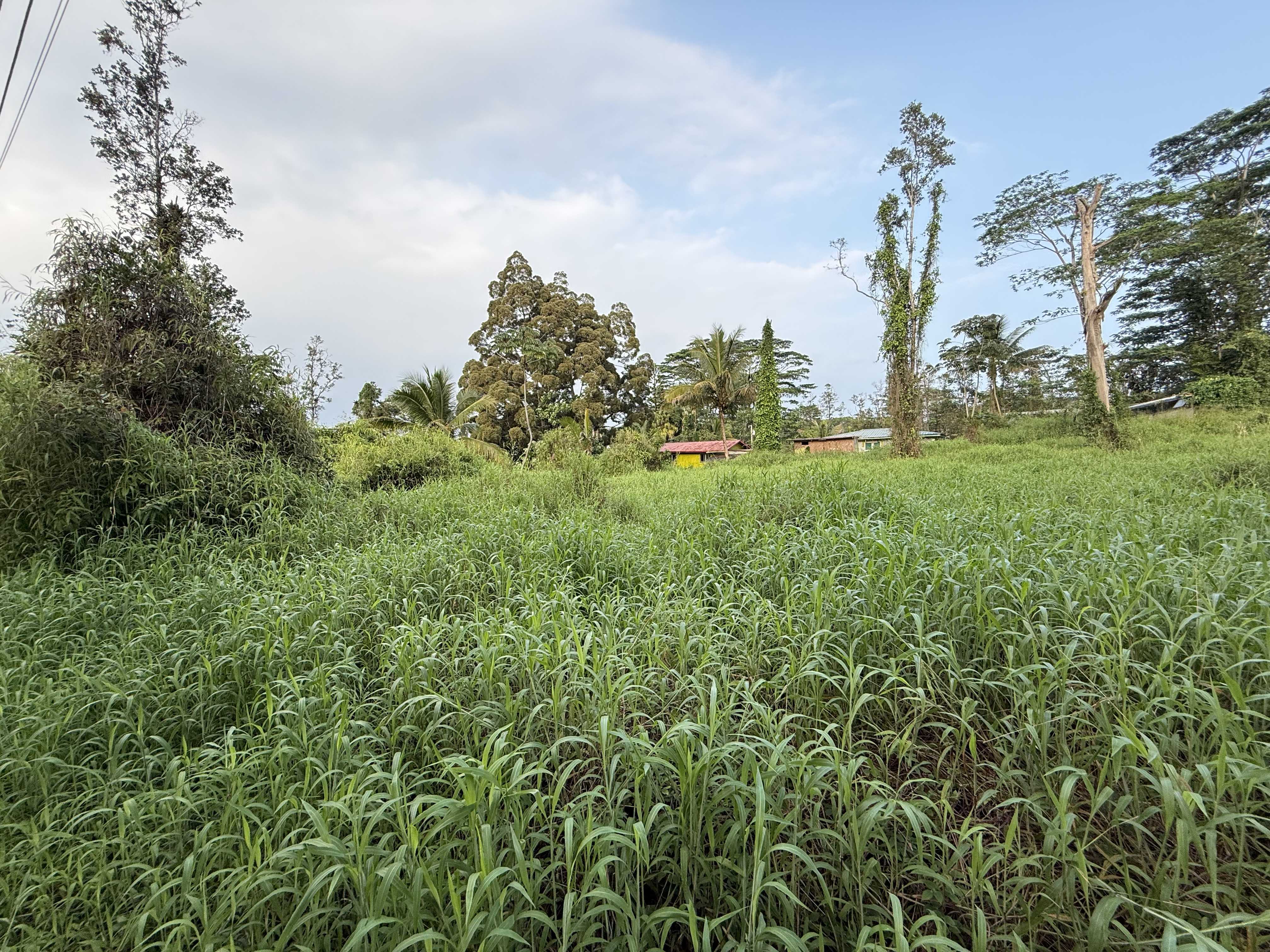 Kurtistown, HI 96760,SILVERSWORD CT