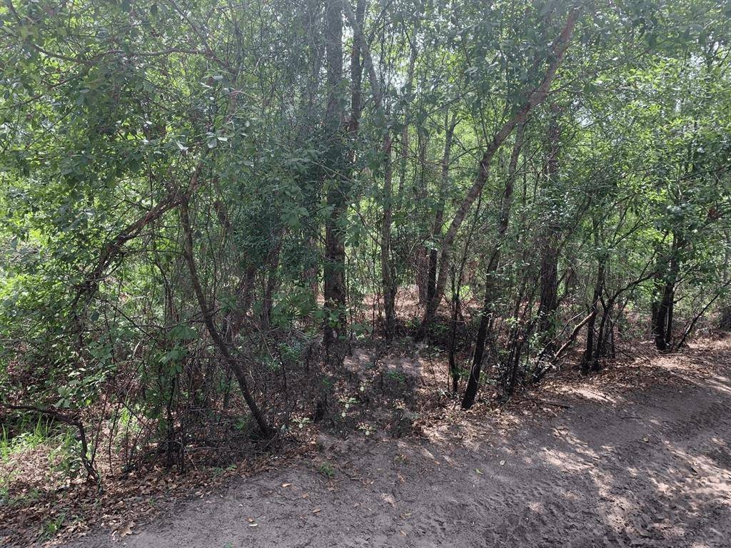 Kathleen, FL 33849,0 County RD 54 E