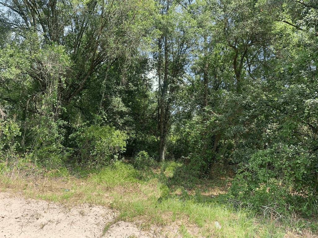 Kathleen, FL 33849,0 County RD 54 E