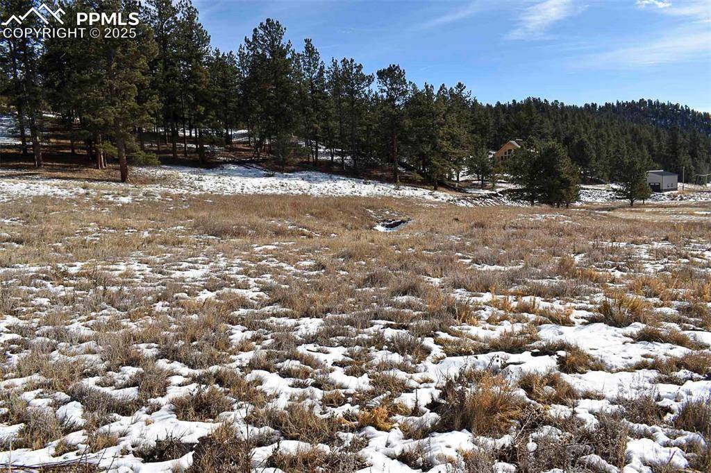 Guffey, CO 80820,000 6th ST