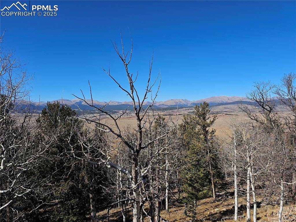5585 Middle Fork VIS, Fairplay, CO 80440