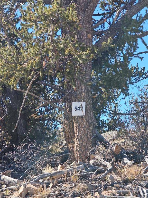 5585 Middle Fork VIS, Fairplay, CO 80440