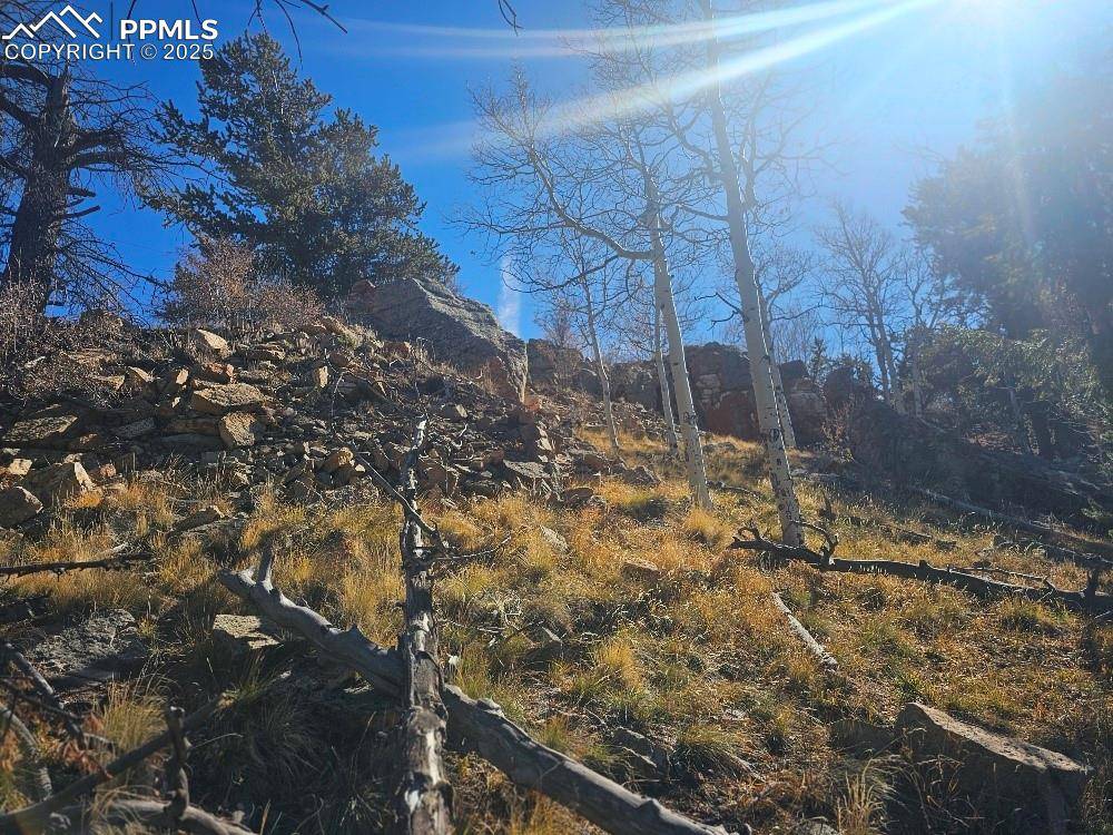 5585 Middle Fork VIS, Fairplay, CO 80440