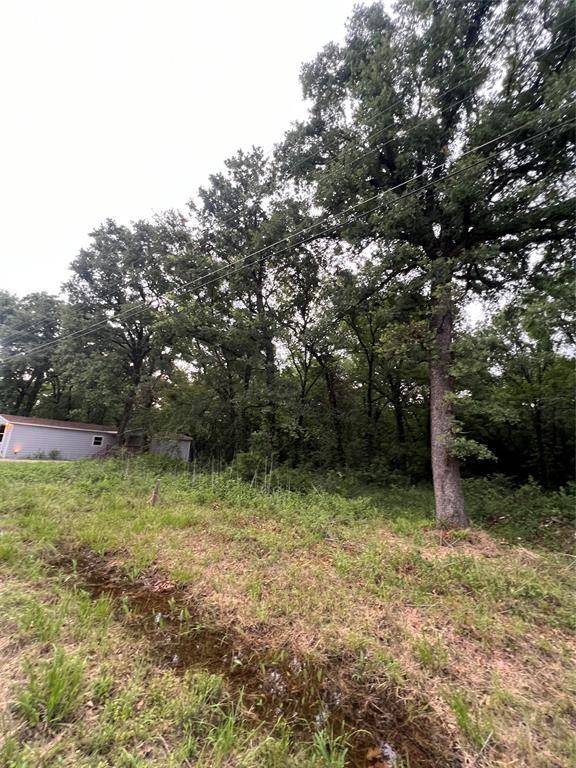 Mabank, TX 75156,117 Inca Trail