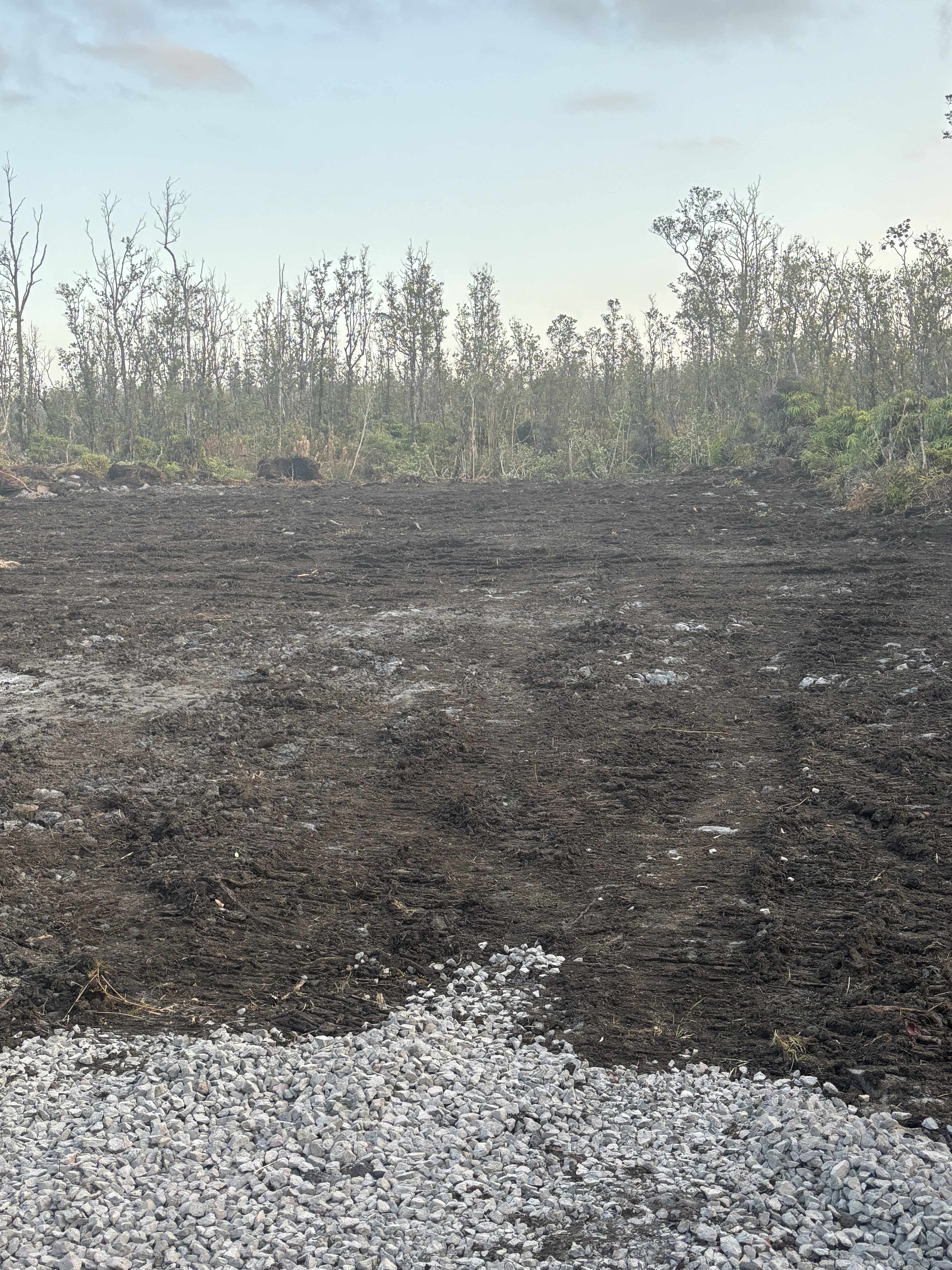 Volcano, HI 96785,OHIALANI RD