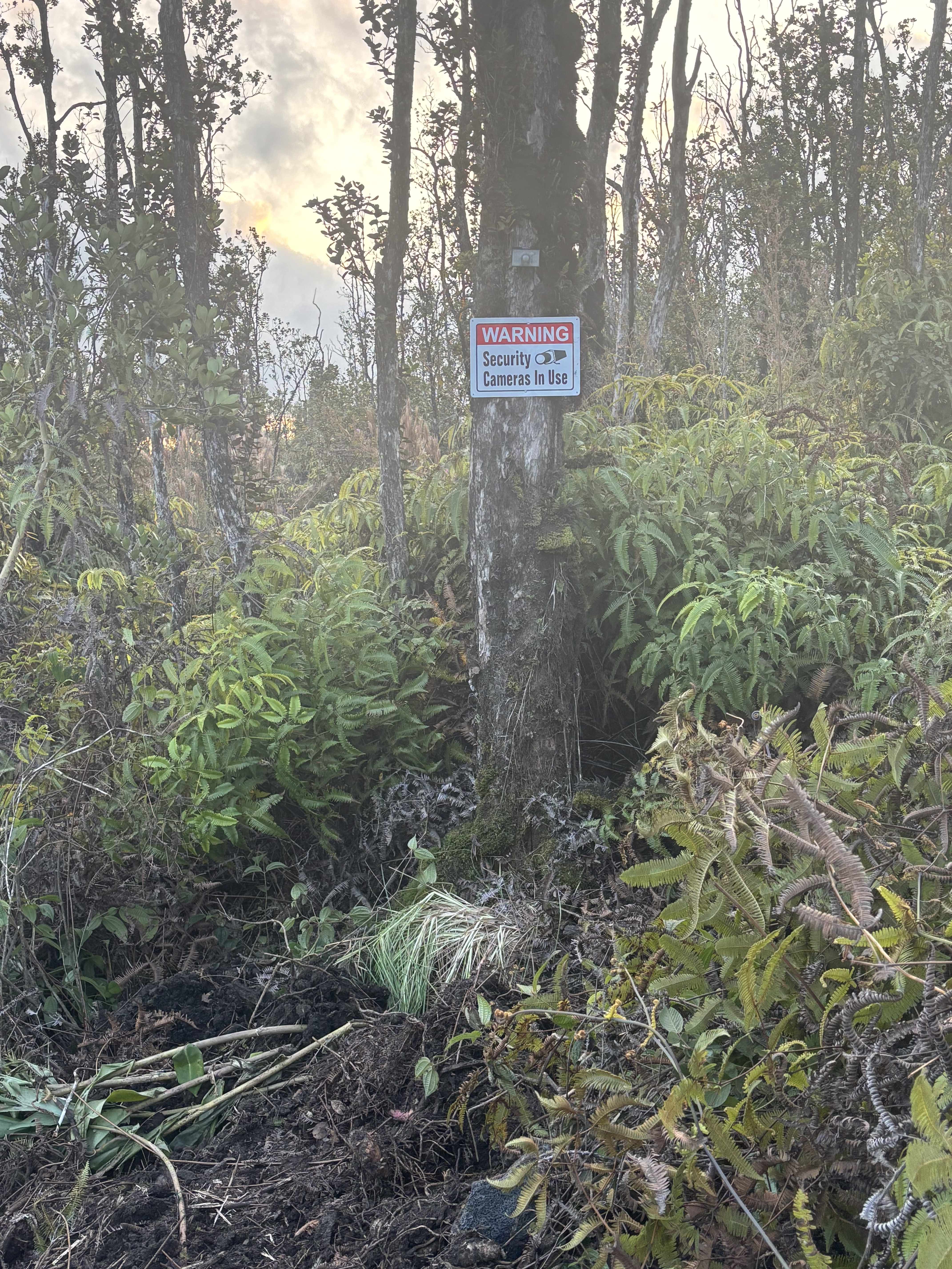 Volcano, HI 96785,OHIALANI RD