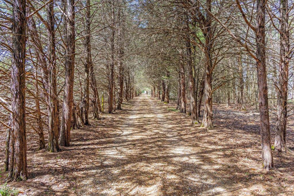 Ivanhoe, TX 75447,1393 County Road 2250