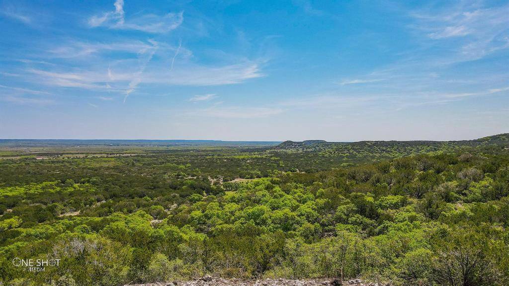 Tuscola, TX 79541,TBD1 Lemons Gap Road