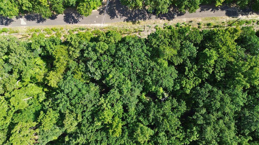 Murchison, TX 75778,239 Briar Valley Dr