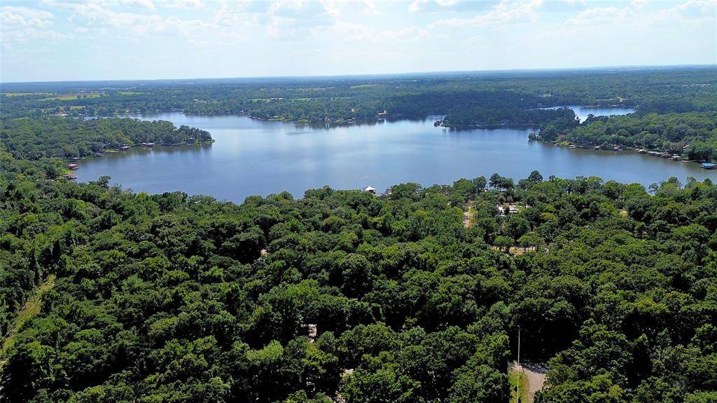 Murchison, TX 75778,239 Briar Valley Dr