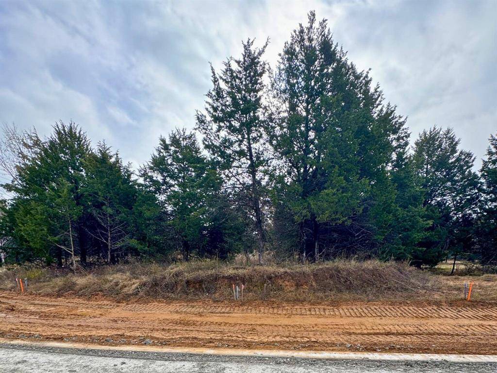 Gordonville, TX 76245,Lot 2 Reflection Bay Boulevard