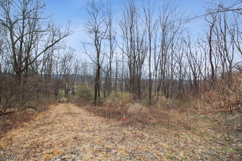 Independence Twp., NJ 07838,159 Alphano Rd