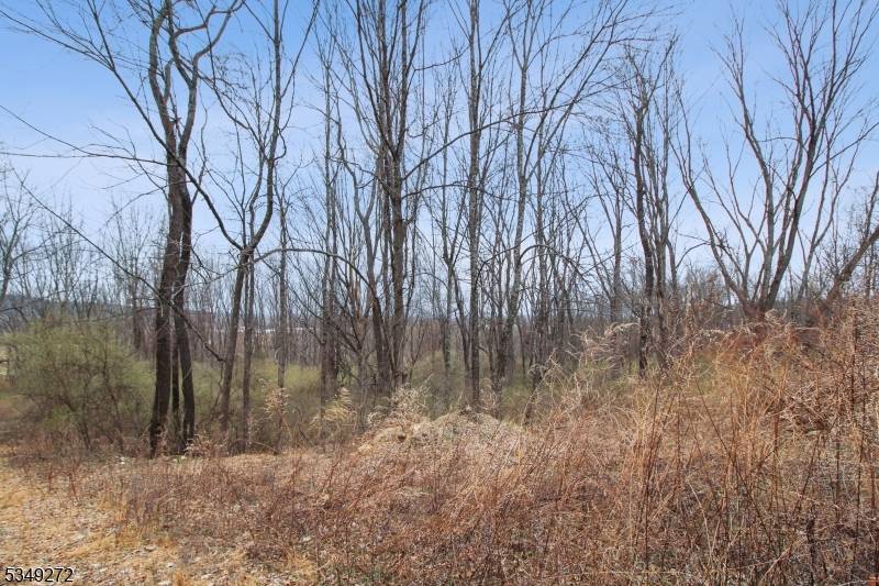 Independence Twp., NJ 07838,159 Alphano Rd