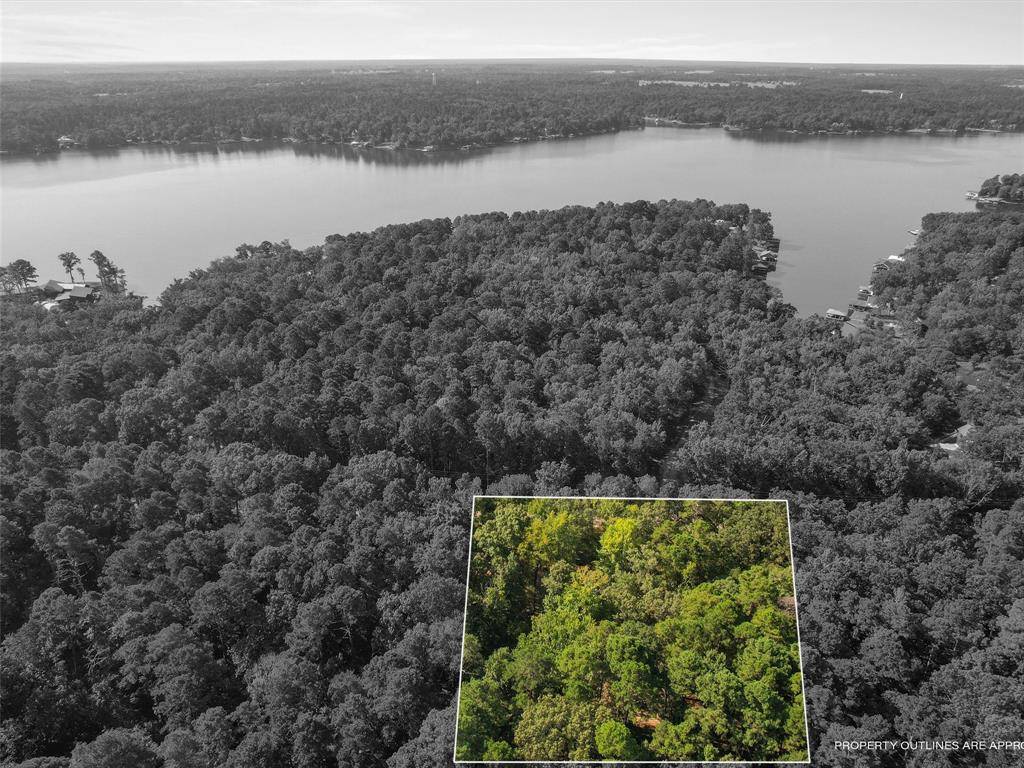 Scroggins, TX 75480,1101 King John Boulevard