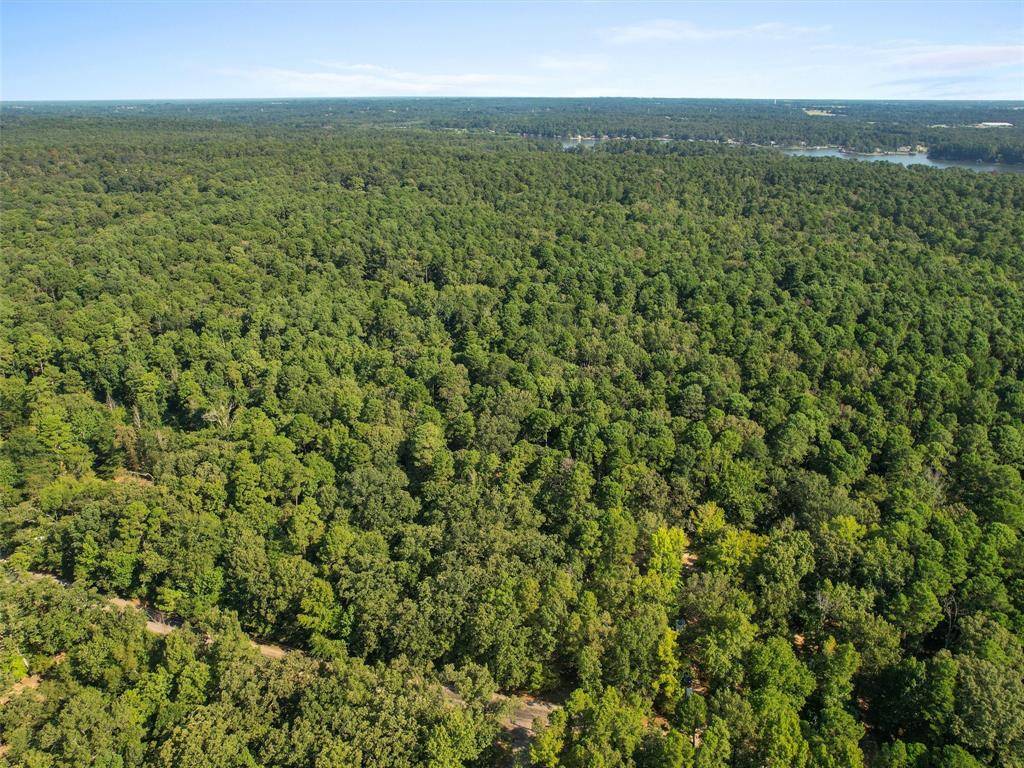 Scroggins, TX 75480,1101 King John Boulevard