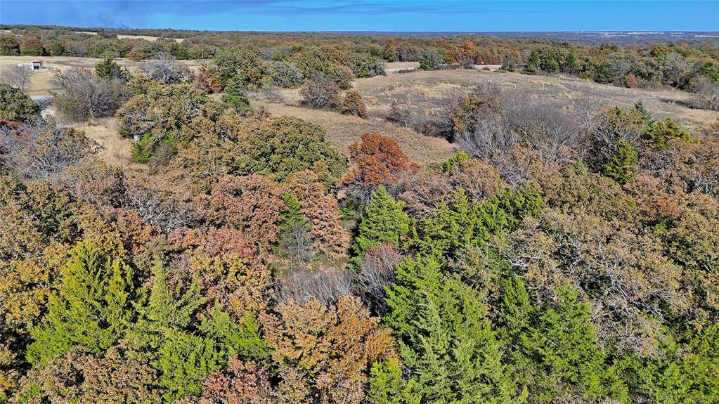 Saint Jo, TX 76265,14218 Fm 677 N