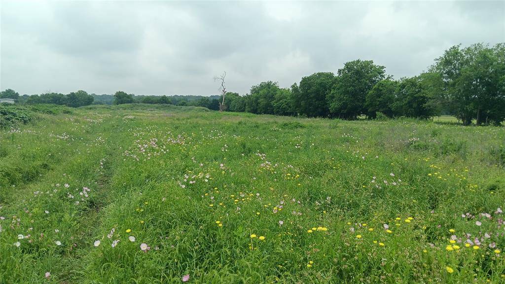 Chilton, TX 76632,TBD CR 494 N