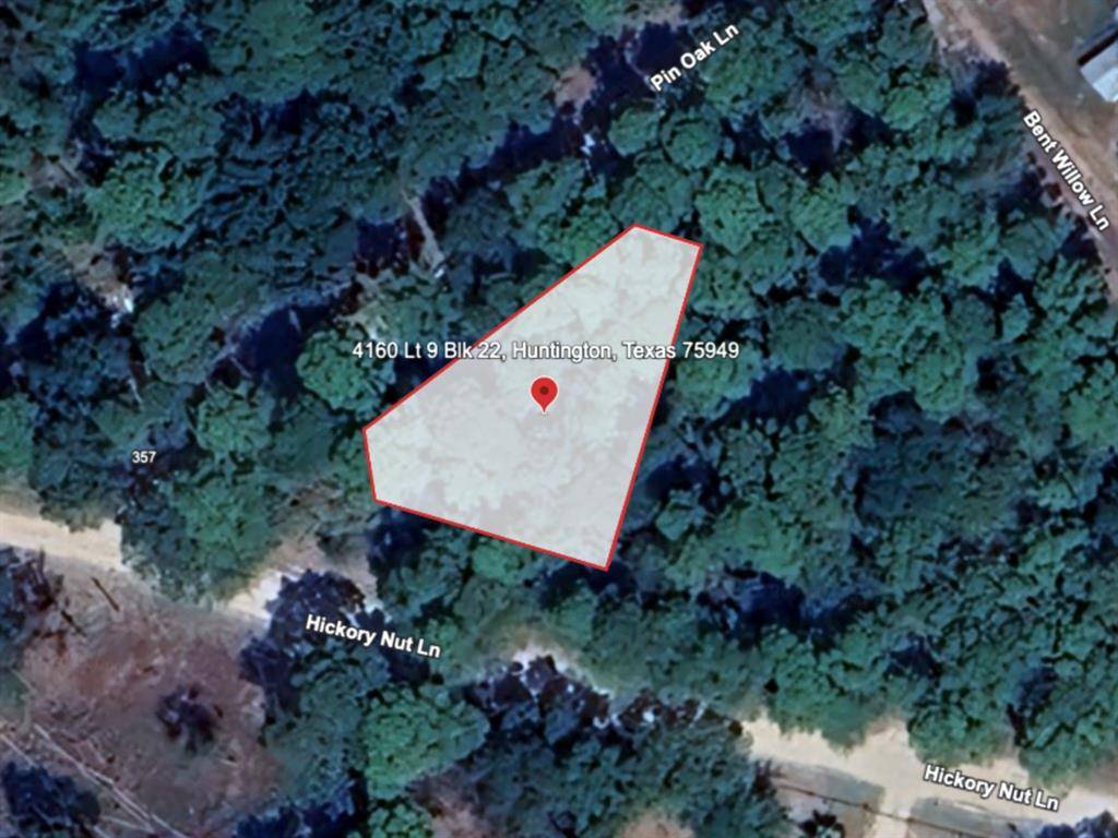 Huntington, TX 75949,4160 LT 9 BLK 22