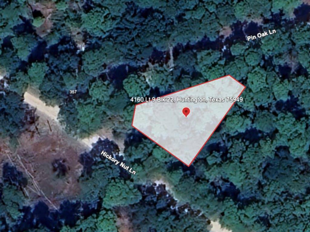 Huntington, TX 75949,4160 LT 9 BLK 22
