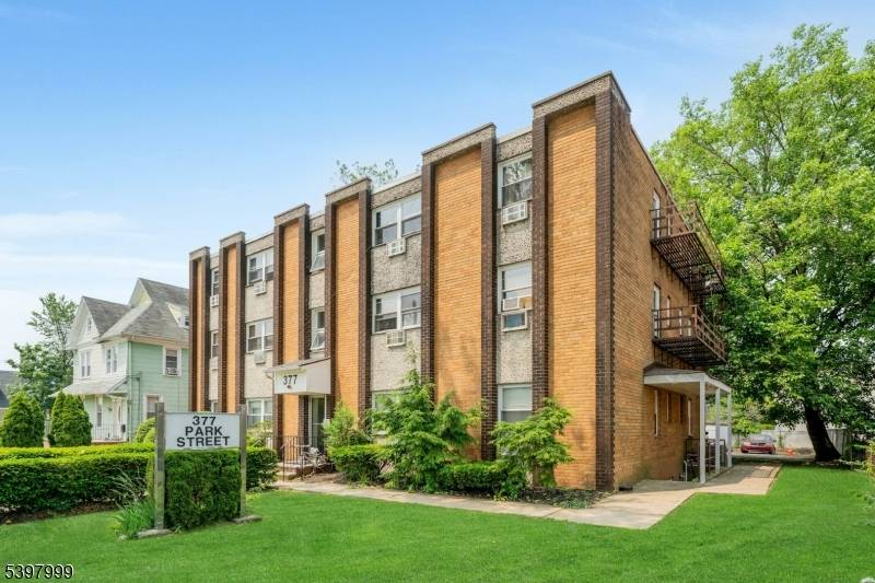 Hackensack City, NJ 07601,377 Park St
