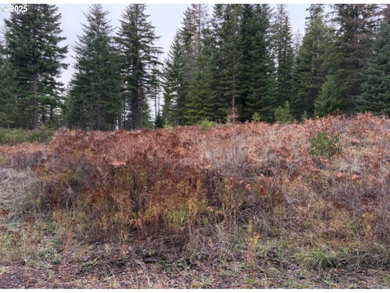 Weston, OR 97886,0 Meadowood Road