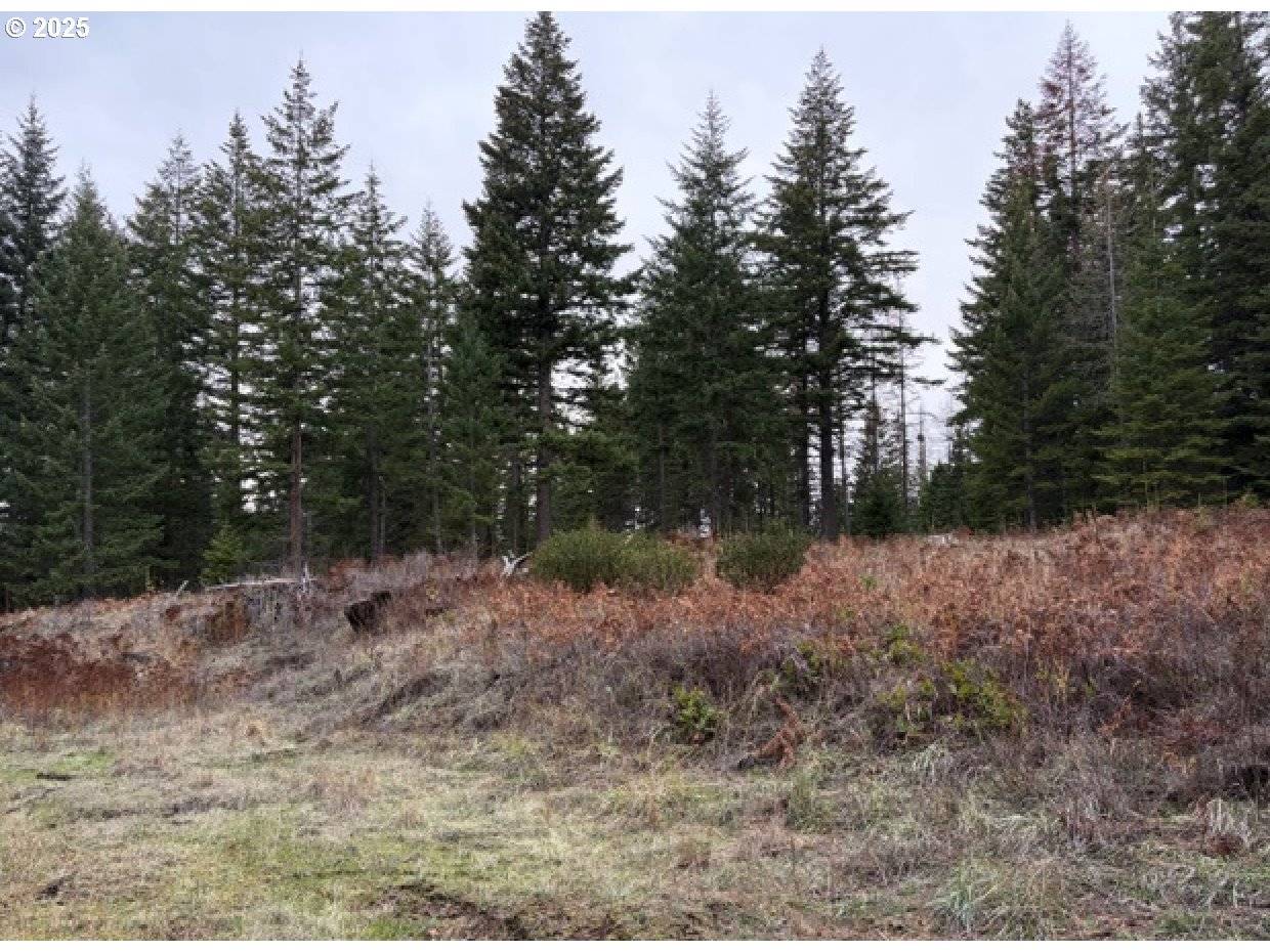 Weston, OR 97886,0 Meadowood Road