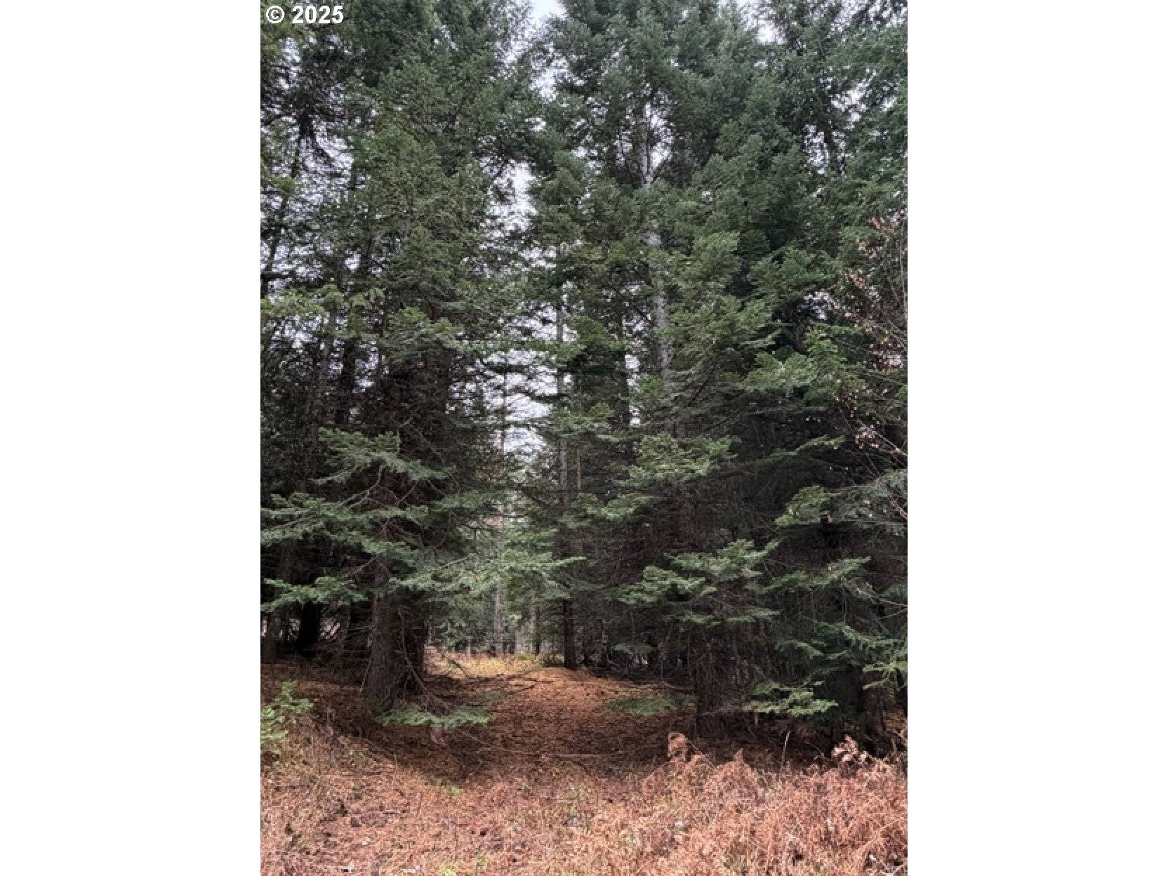 Weston, OR 97886,0 Meadowood Road