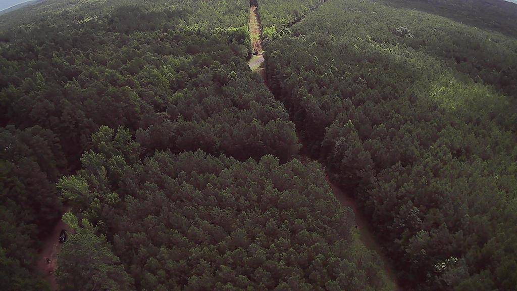 Minden, LA 71055,0 Moody Road